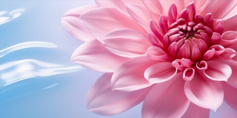 Fototapeta premium Serenity in Pink: A Tranquil Spa and Cosmetic Concept with Aqua Textures, Floral Shadows, and Sunlit Ripples