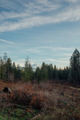 view of Mount Rainier from South Prairie, Washington State