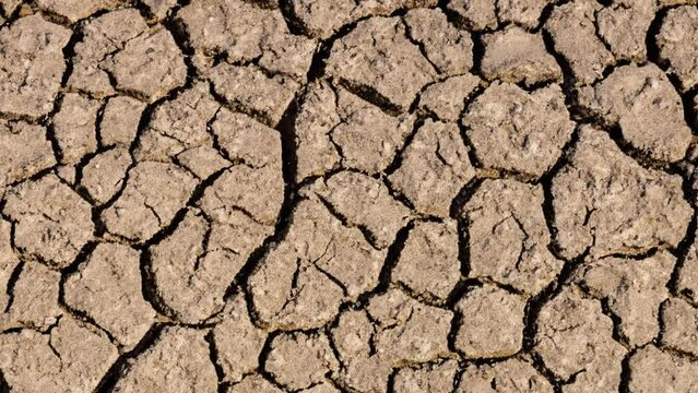 global warming problem dried cracked soils, drought and thirst. climate disorder
