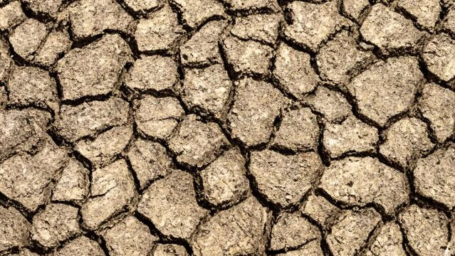 global warming problem dried cracked soils, drought and thirst. climate disorder
