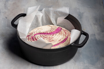 A risen sourdough bread in a dutch oven, naturally coloured with beets