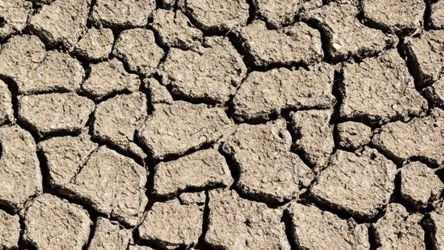 global warming problem dried cracked soils, drought and thirst. climate disorder
