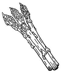 Asparagus