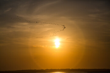 Sun and cloud with flock of birds