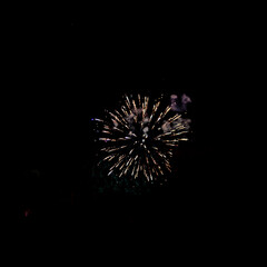Traditional Fireworks exploding on a black dark sky