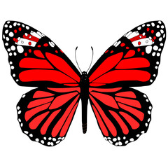 red butterfly illustration