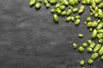 Foto auf Alu-Dibond Fresh green hops on black background © Pixel-Shot