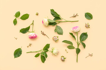 Beautiful pink roses with leaves on yellow background