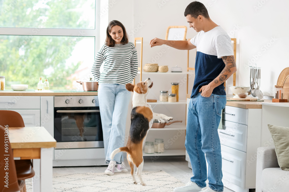 Sticker young couple with cute beagle dog at home