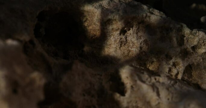 Rock Stone texture close-up. Rought mountain surface. Geological sample. Wall in cave. Macro shot natural mineral background. 