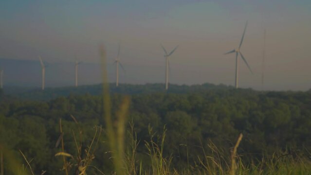 Wind turbines rise beyond tall grass under hazy blue sky, slender white blades turning across distant landscape, blending renewable energy with quiet rural scenery.