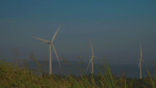 Wind turbines rise beyond tall grass under hazy blue sky, slender white blades turning across distant landscape, blending renewable energy with quiet rural scenery.