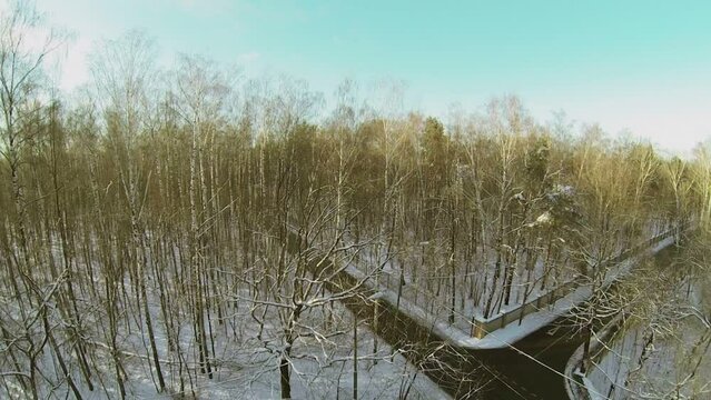 Car stands at roadside of crossroad in snowbound forest and city