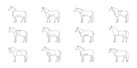 Various types of horse rugs, editable vector