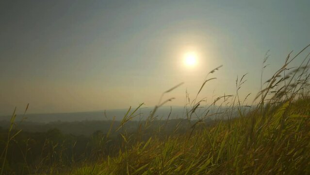 Golden sun hangs above a grassy field at dusk, with wild blades swaying in the breeze and distant hills fading into a warm hazy horizon.