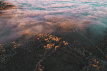 drone view of a valley covered by fog at sundown, golden hour