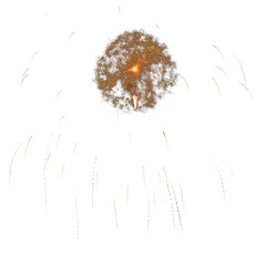 Isolated brilliant burst of colorful fireworks overlay