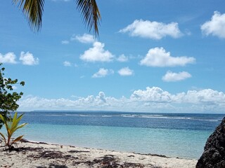 Derrière les palmiers, la plage de sable blanc et la mer turquoise sous le ciel bleu