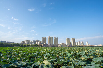 City Central Park Scenery, North China