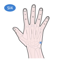SI4 Acupoint illustration