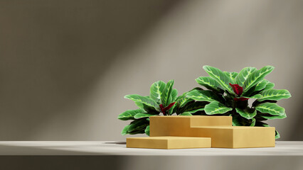 3d image render scene template yellow rectangle podium in landscape green calathea and gray wall
