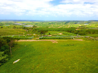 Fototapeta na wymiar Aerial image taken by a drone of a vineyard