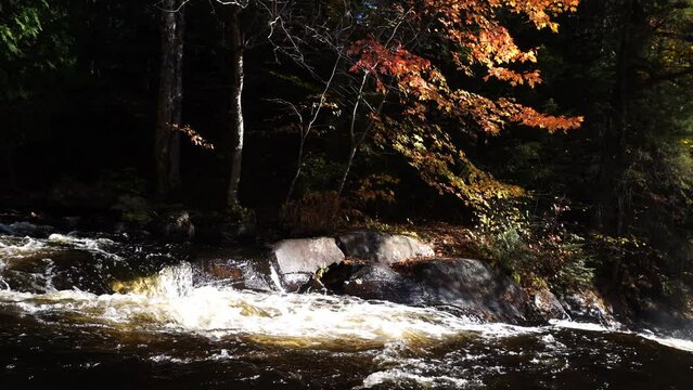Arrowhead Provincial Park with iconic Stubbs Falls running through rock formations in autumn