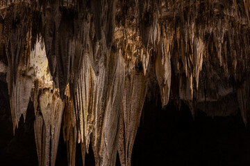 Golden Tints Color The Stalactites On The Ceiling Of Carlsbad Caverns