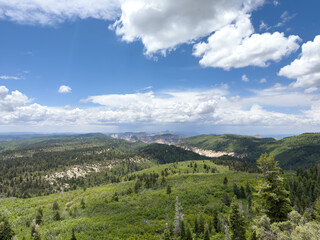 Green Bushes and Trees Cover the Mesas of Zion