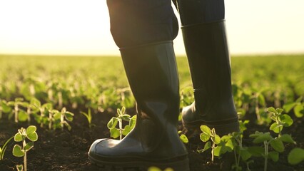 senior farmer walking boots fertile soil, agriculture business concept, worker man boots walking...