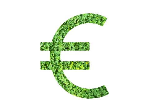 EURO icon made from green grass or leaves isolated on transparent background, go green concept, PNG