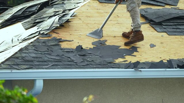 Removal of old asphalt shingles from rooftop. Construction workers changing house roof covering. Repair of Florida home. Real estate development concept.