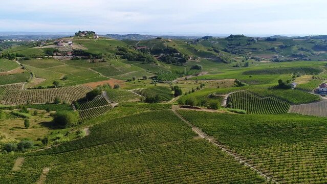 Aerial landscape beautiful green hills of Piedmont vineyards, Italy. Region wine area Langhe, Monferrato and Roero fields. 