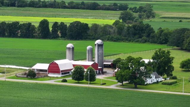 Rural agricultural farm barn and silos between green farmlands in Midwestern USA. American farming landscape