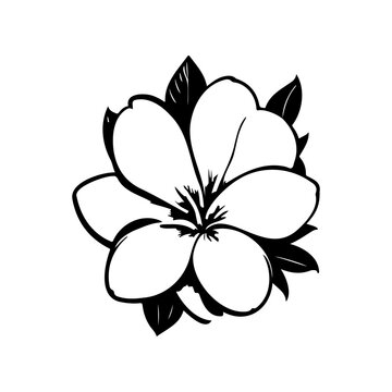 Plumeria Icon hand draw black colour Flower logo symbol perfect.
