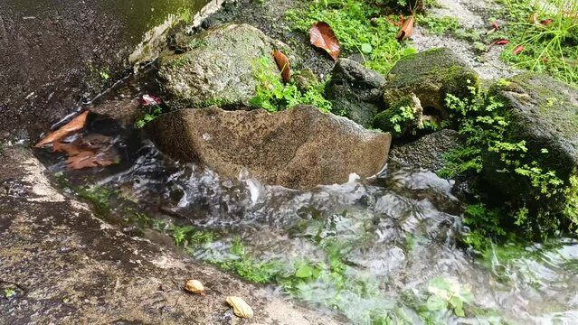 rainwater falling on mossy rocks.