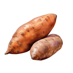 Potato vegetable isolated on white or transparent background. 