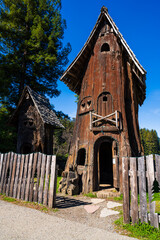 Tree house of a giant sequoia 