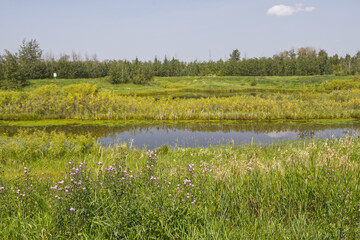 A Sunny Summer Day at Pylypow
