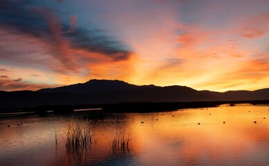 Fototapeta na wymiar Stunning orange sunrise and its reflection in a lake in San Jacinto, Riverside, California