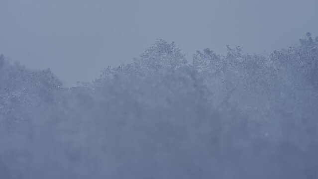 マクロ映像：溶けかけの雪の結晶