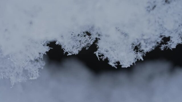 マクロ映像：溶けかけの雪の結晶