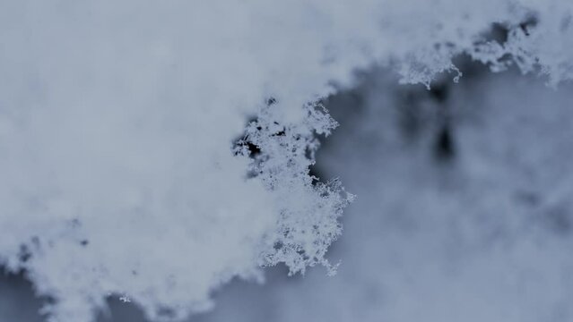 マクロ映像：溶けかけの雪の結晶