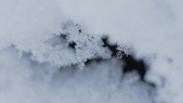 マクロ映像：溶けかけの雪の結晶