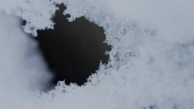 マクロ映像：溶けかけの雪の結晶