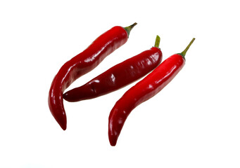 Chili Pepper Red Cayenne