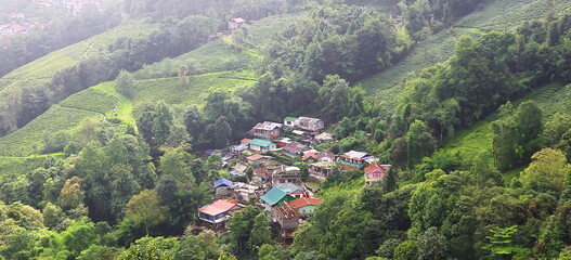 cloudy himalayan mountains foothills, tea plantation and countryside area of darjeeling in west...