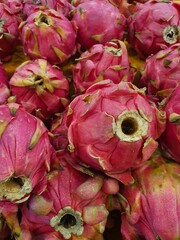Close up pile of tasty fresh dragon fruits sold at the market as a background.