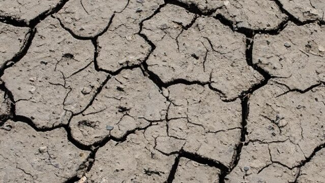global warming problem dried cracked soils, drought and thirst. climate disorder
