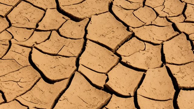 global warming problem dried cracked soils, drought and thirst. climate disorder

